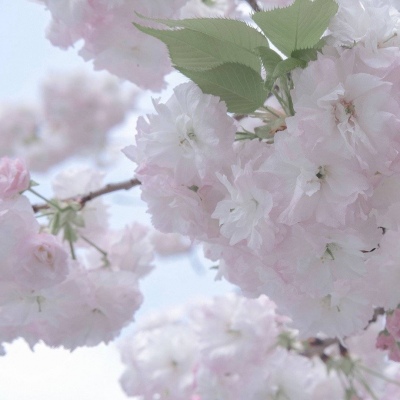 金坛FurryQQ群介绍